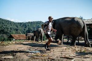 BIB: 
                            <button type="button" onclick="openModal(22422947)" class="btn btn-primary btn-sm float-right btn-popup" data-toggle="modal" data-target=".modal-high-quality">
                        <i class="fas fa-shopping-cart"></i> Add to Cart
                    </button>
                                            <button type="button" onclick="isThisMe(22422947, true)" class="btn btn-success btn-sm float-right btn-popup btn-isme hidden" data-toggle="tooltip" data-placement="bottom" title="นี่คือรูปของคุณใช่ไหม คลิกที่นี่เพื่อเอาเข้าอัลบั้ม">
                        <i class="fas fa-plus"></i> Add to album
                    </button>
                    <button type="button" onclick="isThisMe(22422947, false)" class="btn btn-warning btn-sm float-right btn-popup btn-isnotme hidden">
                        <i class="fas fa-ban"></i> Remove from album
                    </button>